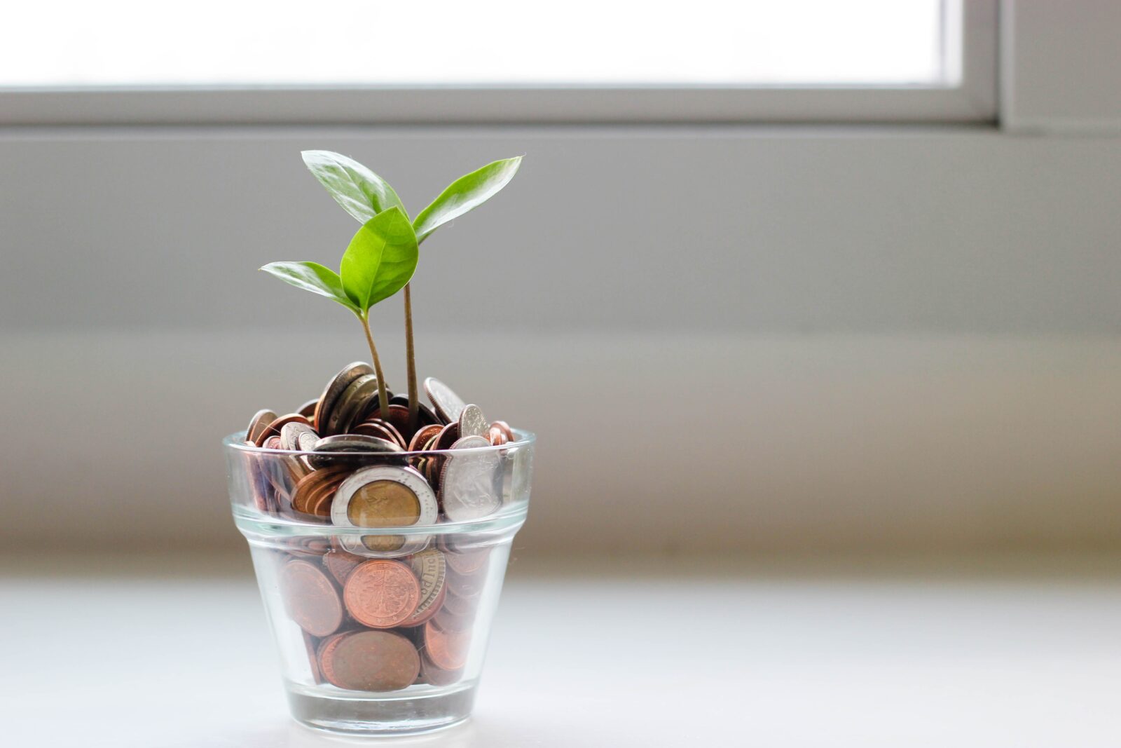 Grow Money. Image shows a class full of coins with plant seedlings growing out of the coins.